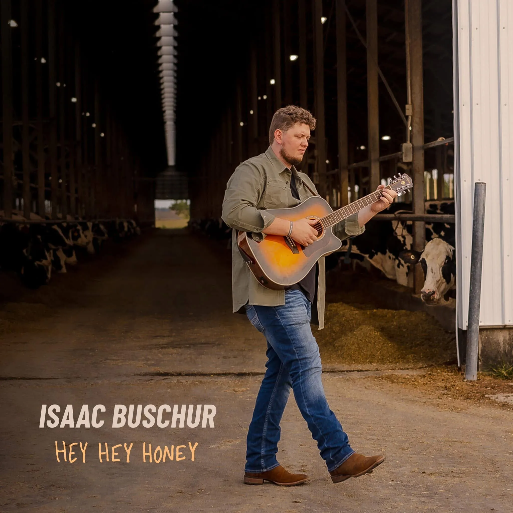Hey Hey Honey single artwork